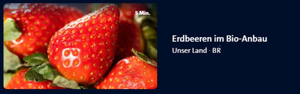 KI generiert: Das Bild zeigt einen Podcast-Player mit der Folge "Noch mehr knackiges Wurzelgemüse" aus der Serie "BIO für die Ohren". Auf der linken Seite sind Wurzeln im Boden zu sehen.