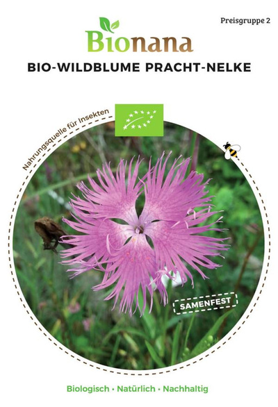 Produktfoto zu Saatgut Pracht-Nelke