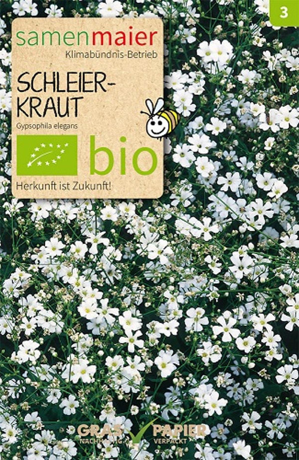 Produktfoto zu Saatgut Schleierkraut weiß