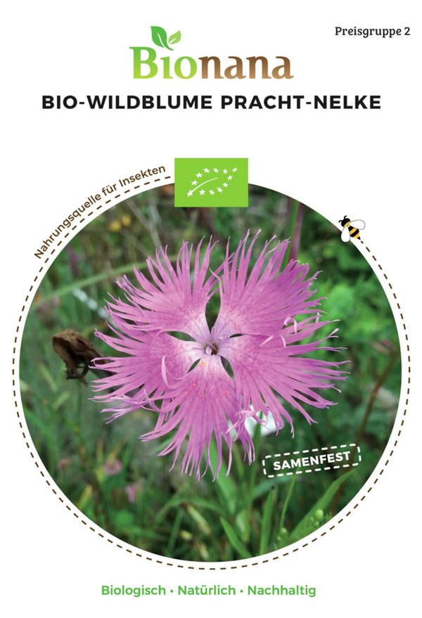 Produktfoto zu Saatgut Pracht-Nelke