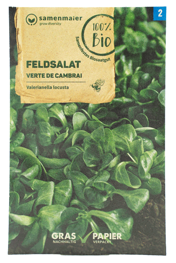 Produktfoto zu Saatgut Feldsalat Verte de Cambrai
